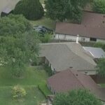 1-Year-Old Boy Mauled to Death by 3 Dogs at Babysitter's Home