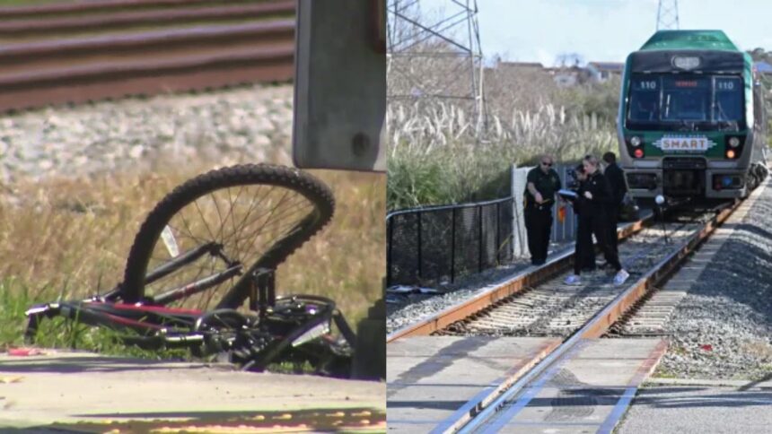 Cyclist fatally hit by train