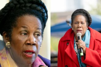 Sheila Jackson Lee